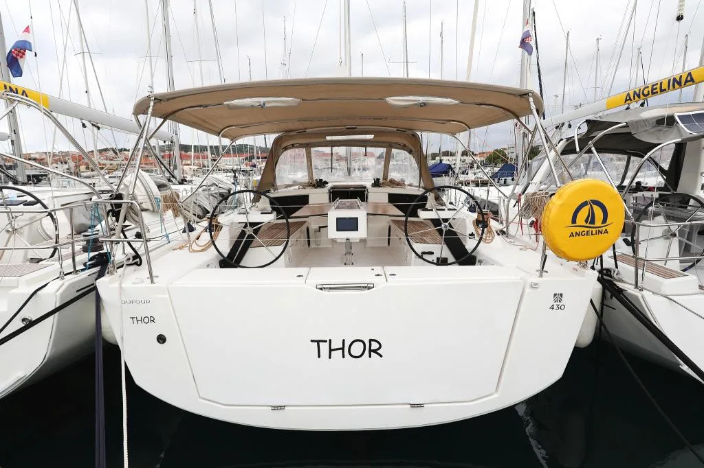 Thor — photo 2