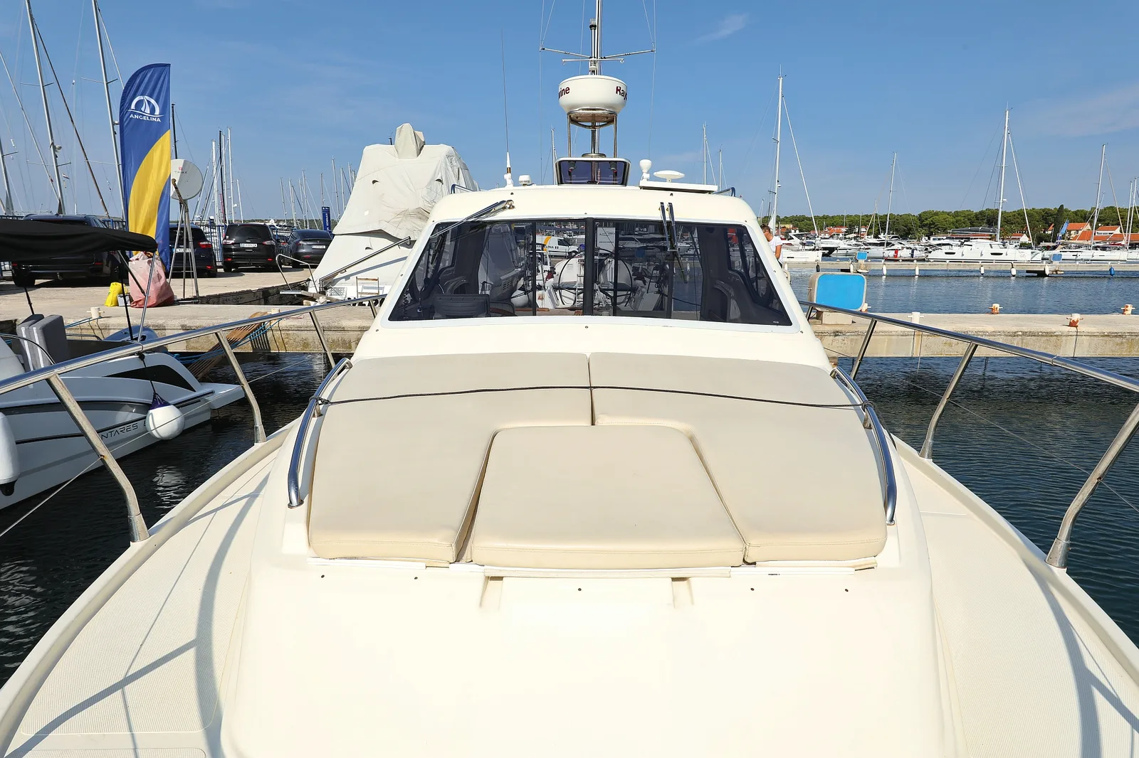 Nemo — photo 14