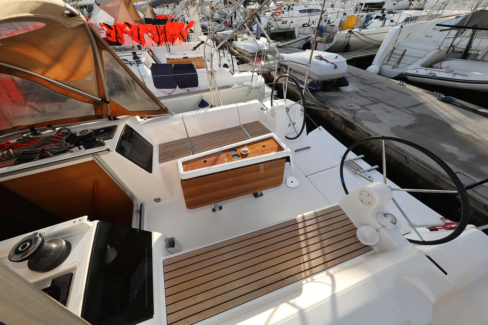Papillon — photo 8