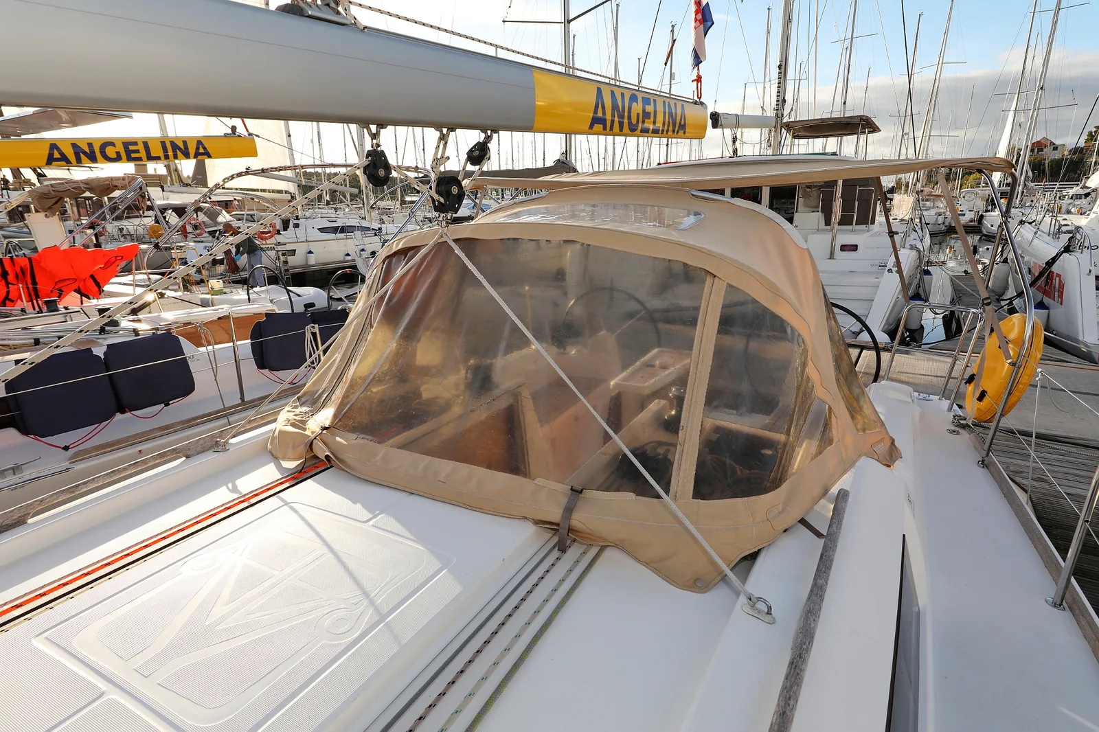 Papillon — photo 12
