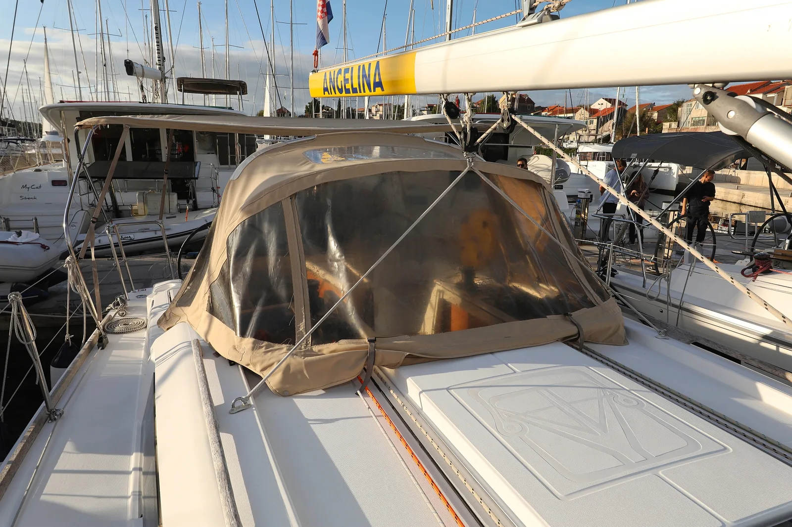 Papillon — photo 16