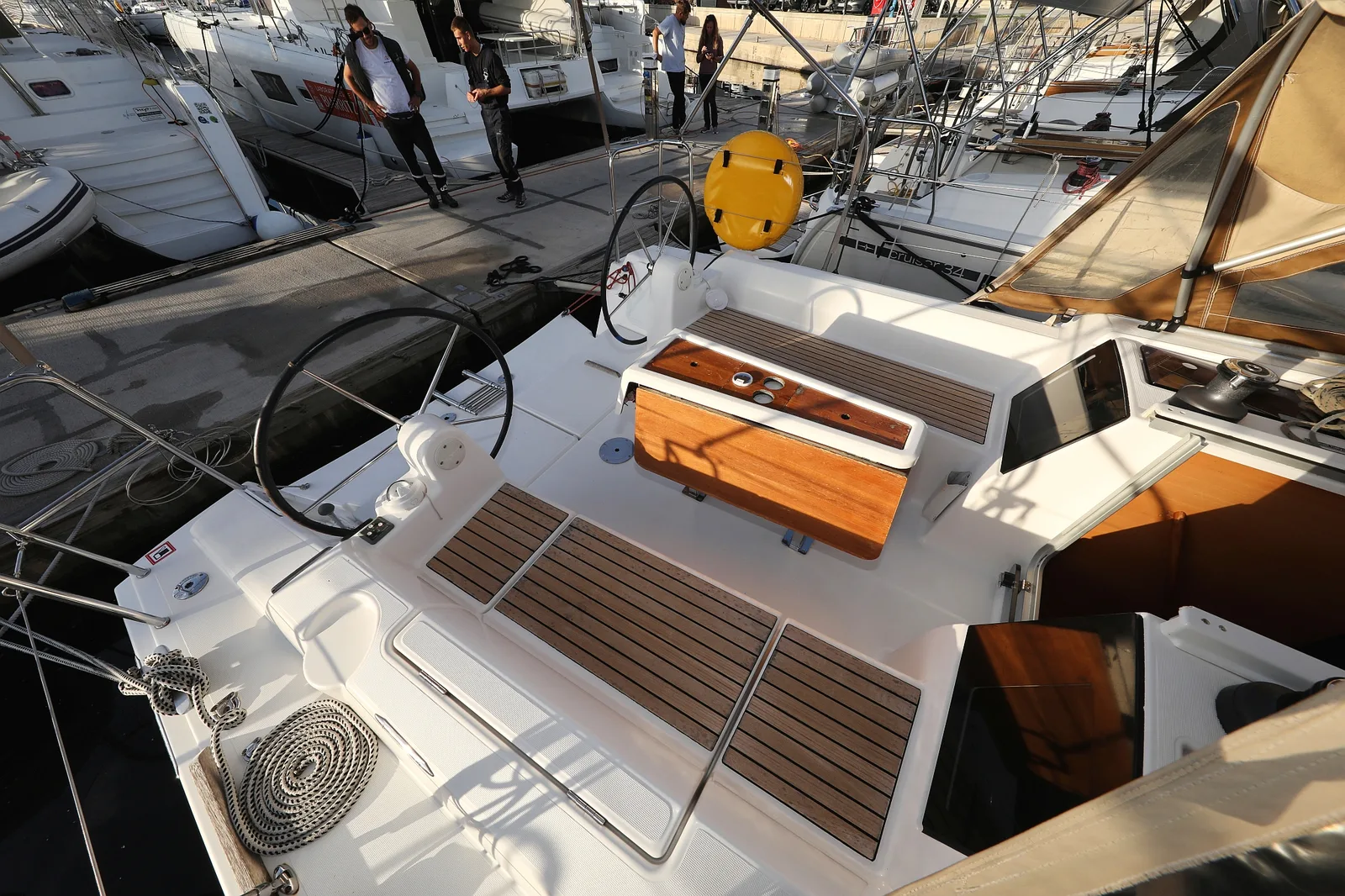 Papillon — photo 17