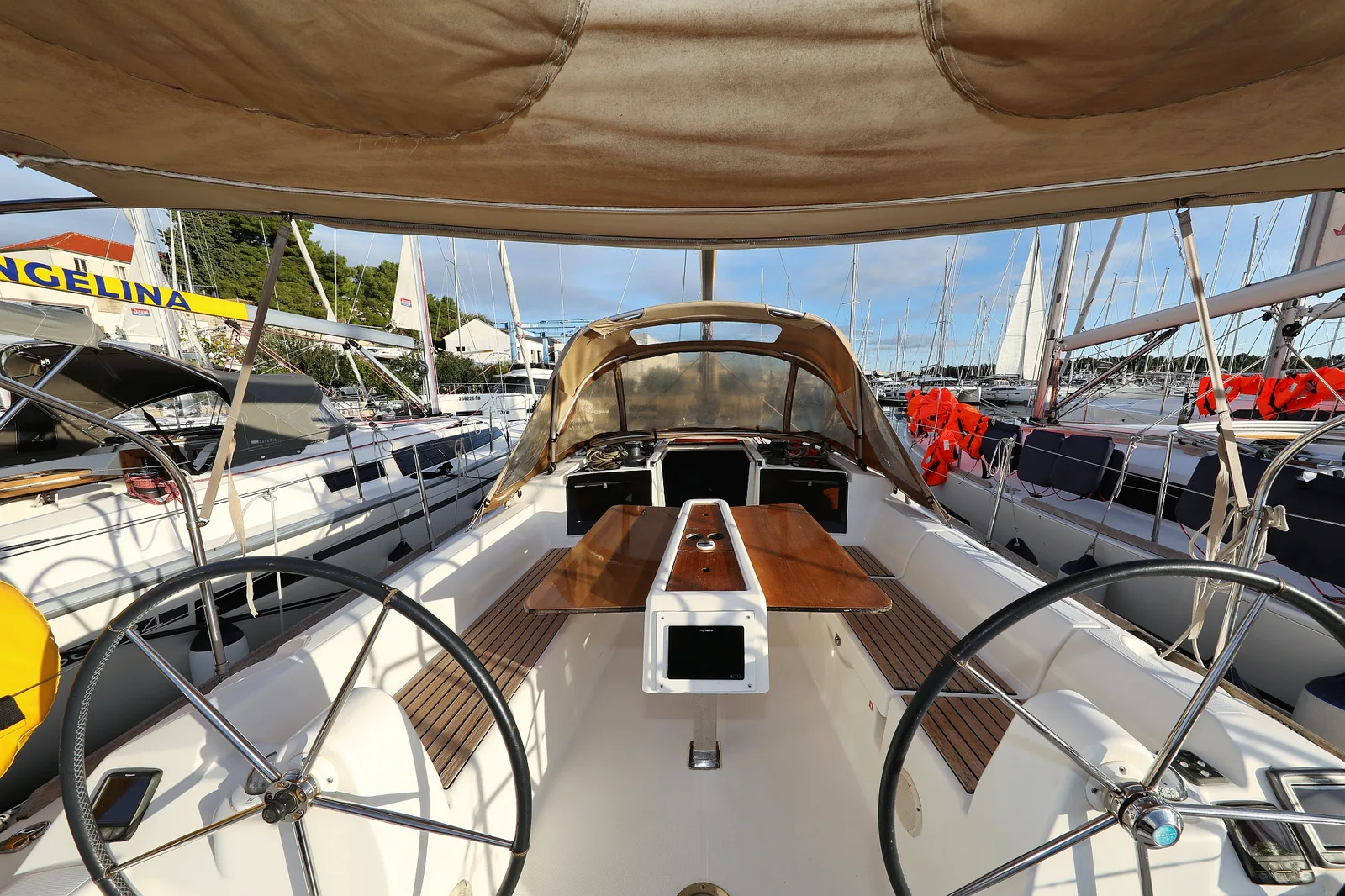 Papillon — photo 21
