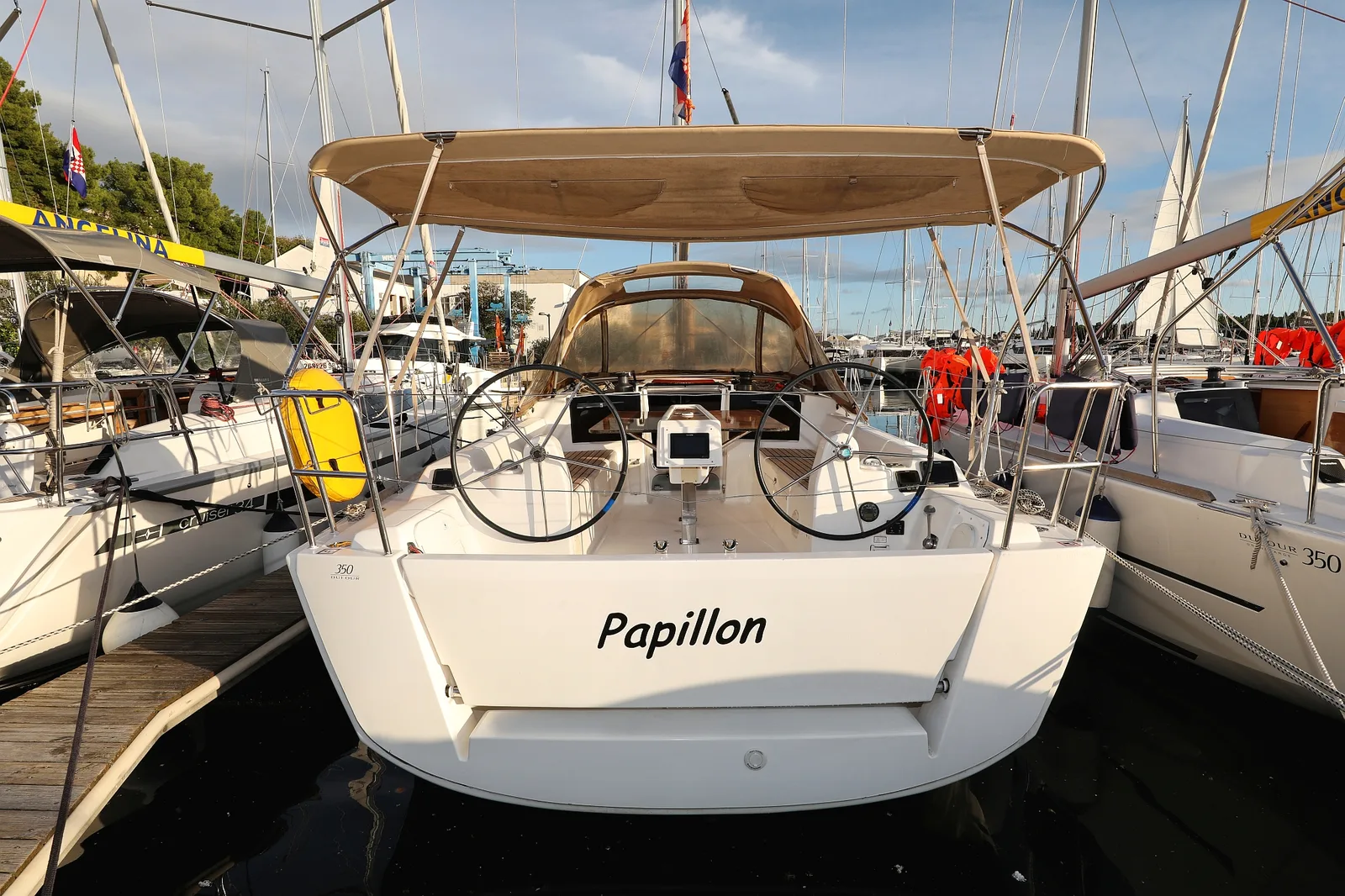 Papillon — photo 25