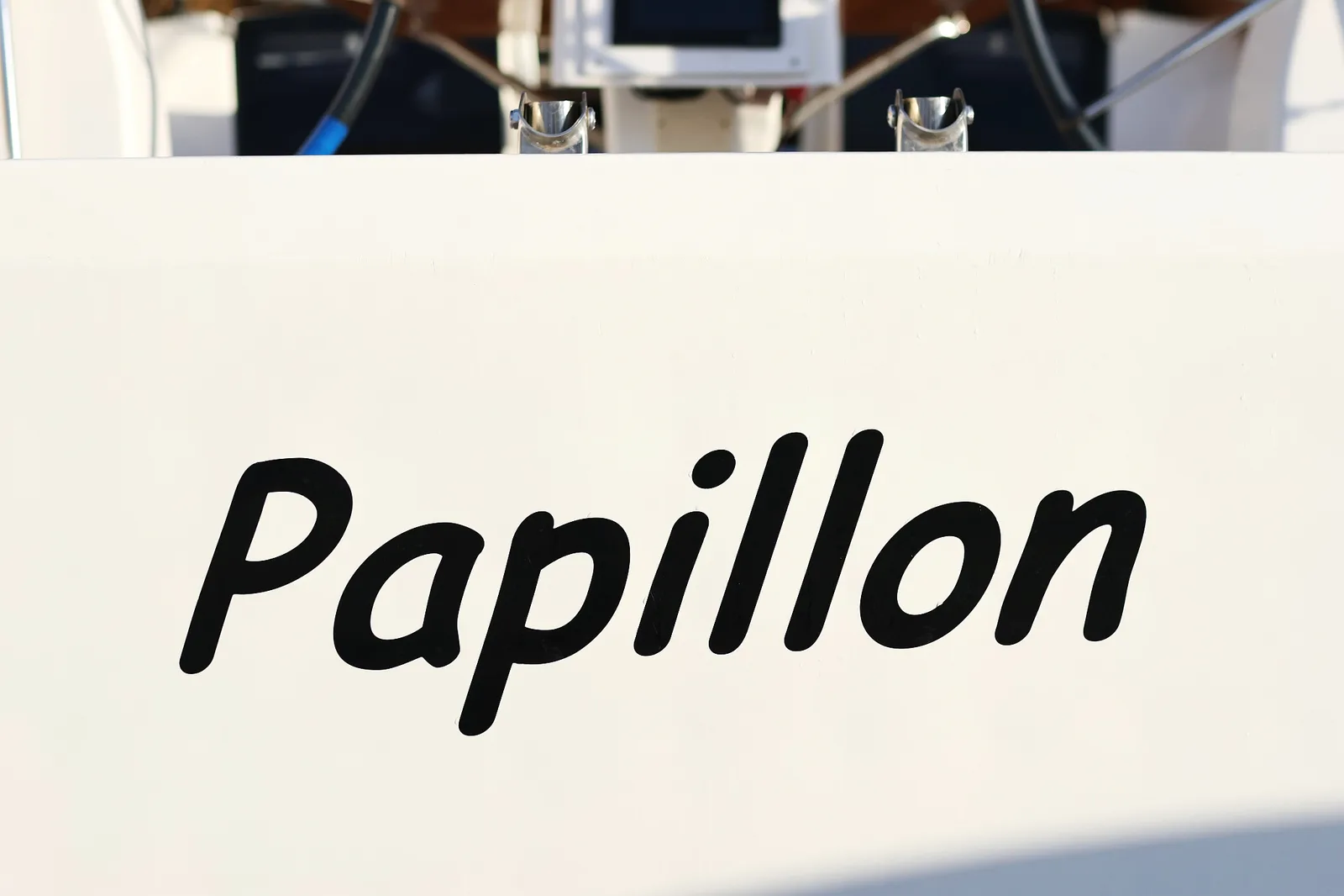 Papillon — photo 27