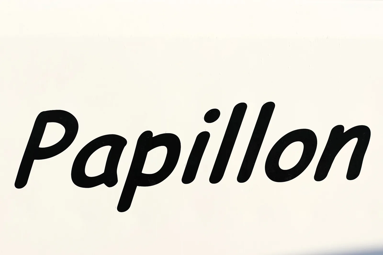 Papillon — photo 28